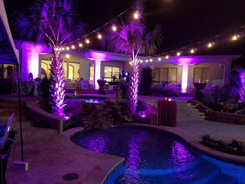 uplight-purple-palm-trees